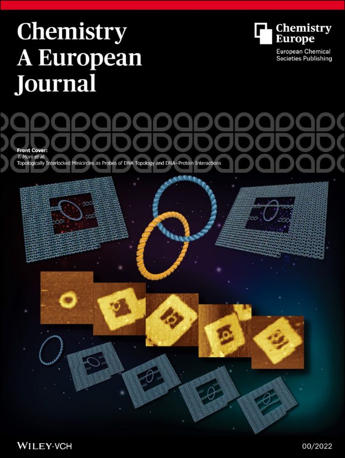 Chemistry – A European Journal 2022 cover featuring topologically interlocked DNA